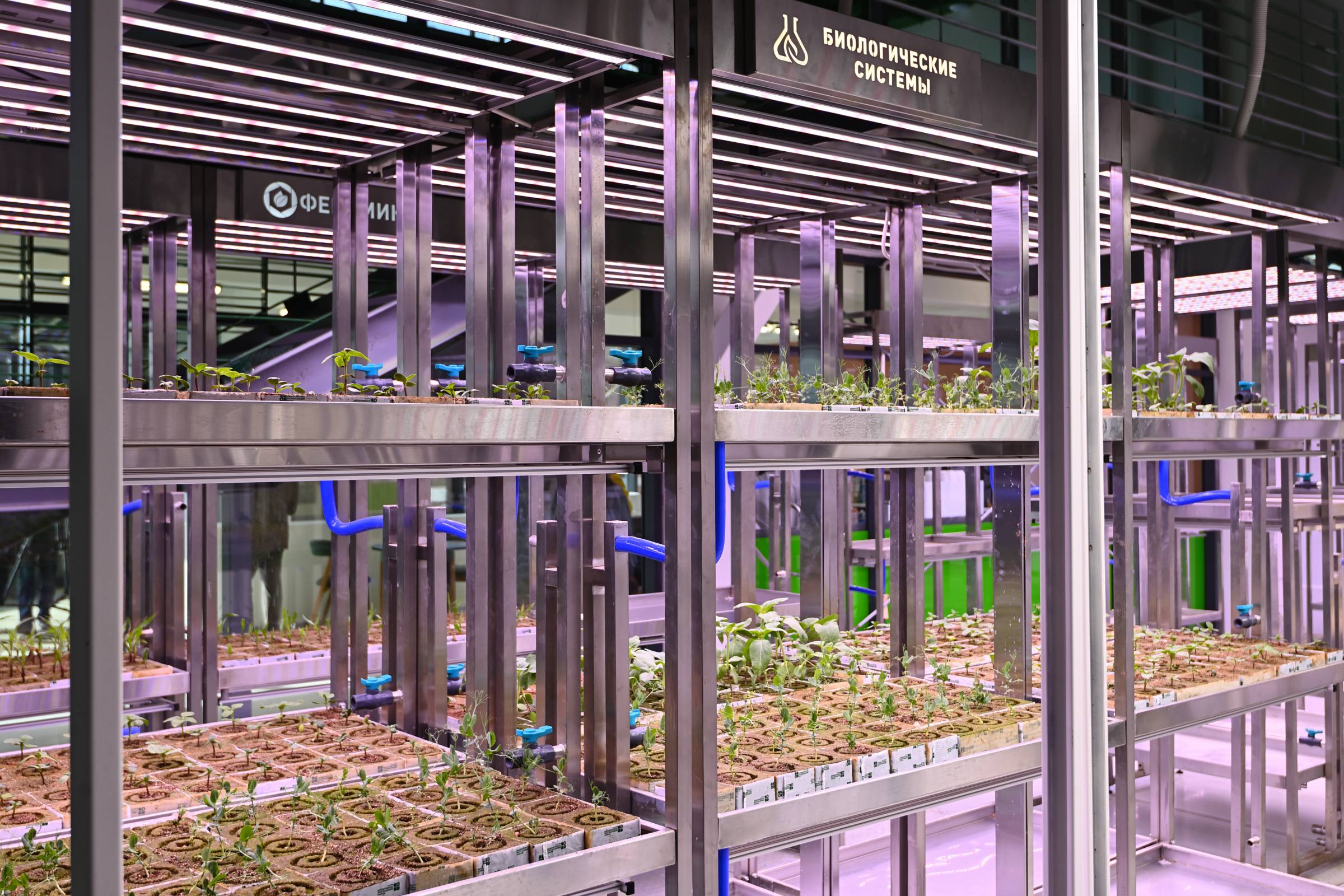 Министр сельского хозяйства РФ и глава Адыгеи обсудили развитие АПК региона