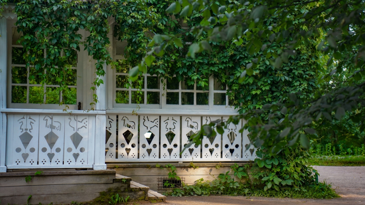 Появился старый дом в деревне? Не сносите — 17 идей вдохнуть в него жизнь: создайте место силы ИА SM-News