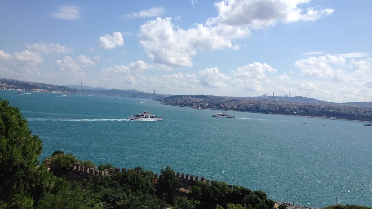 По мере продолжения войны с Ираном интересы США и Израиля могут начать расходиться, заявил эксперт ИА SM-News