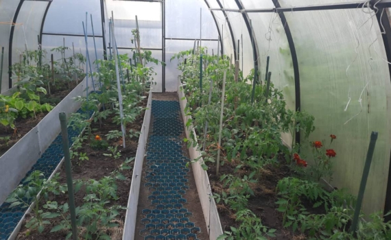 Один пропущенный шаг — и урожая не будет: что срочно сделать в теплице в марте Один пропущенный шаг — и урожая не будет: что срочно сделать в теплице в марте