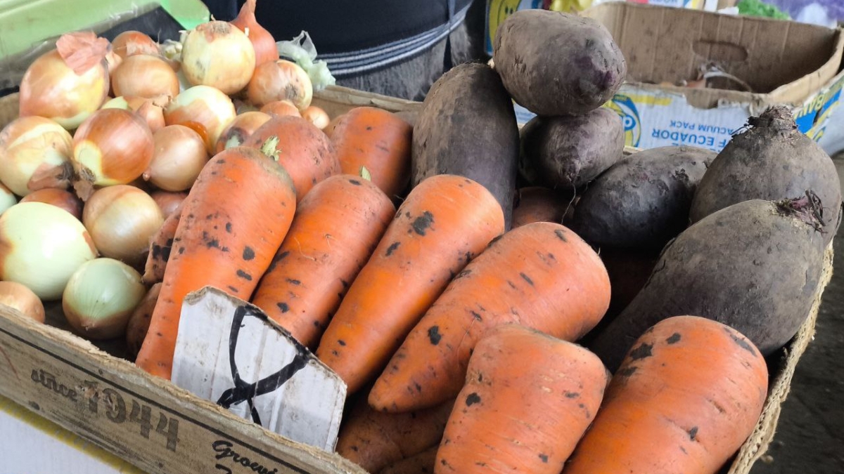 Не морковь, а сахарный леденец: сорт, который никогда не подводит — до 10 кг на метр ИА SM-News