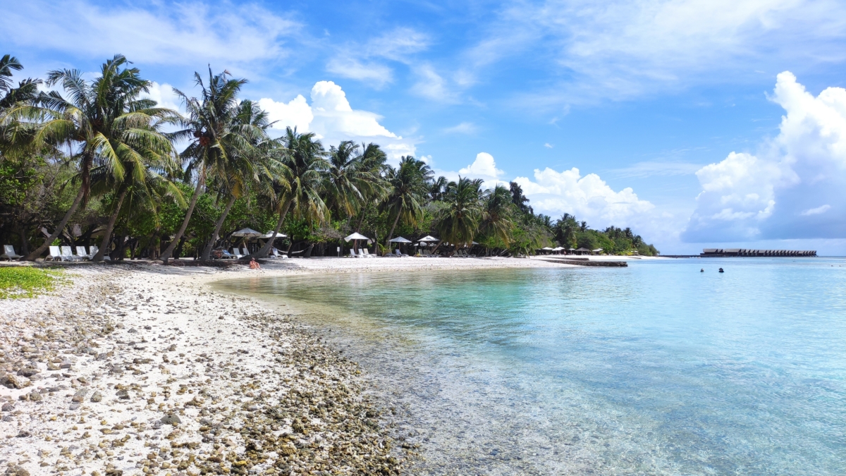 Цены на Турцию этим летом: где и когда выгоднее отдыхать — прогноз ассоциации туроператоров РФ ИА SM-News