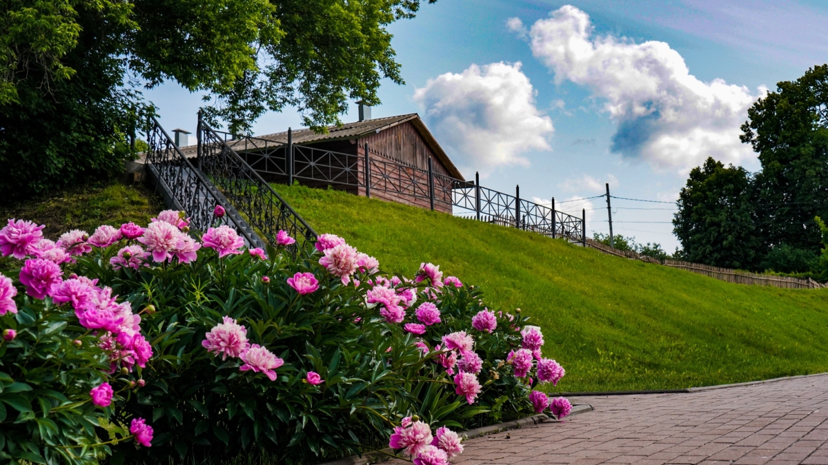 Взрыв красок на участке: создайте клумбу, о которой все будут говорить от весны до осени Светлана Мулыкина