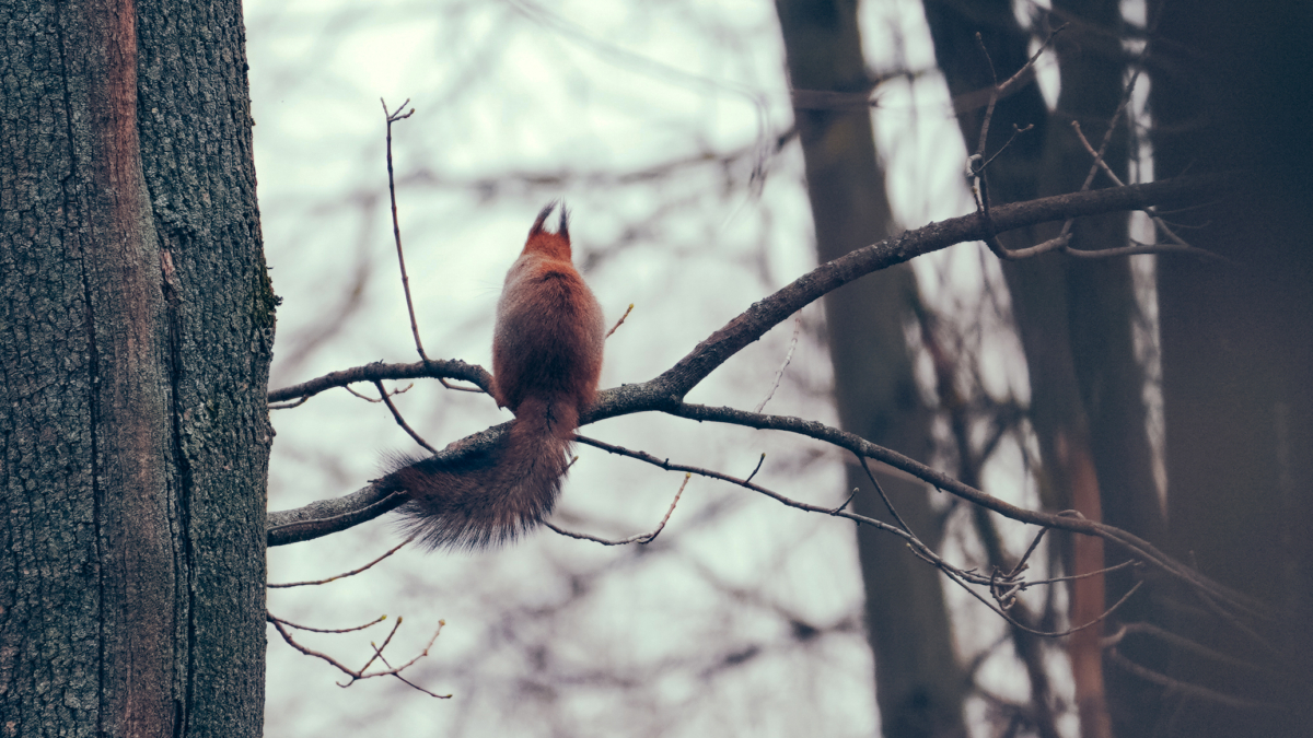 Шапошников: Экоцентры обладают огромным потенциалом для решения просветительских задач Светлана Мулыкина