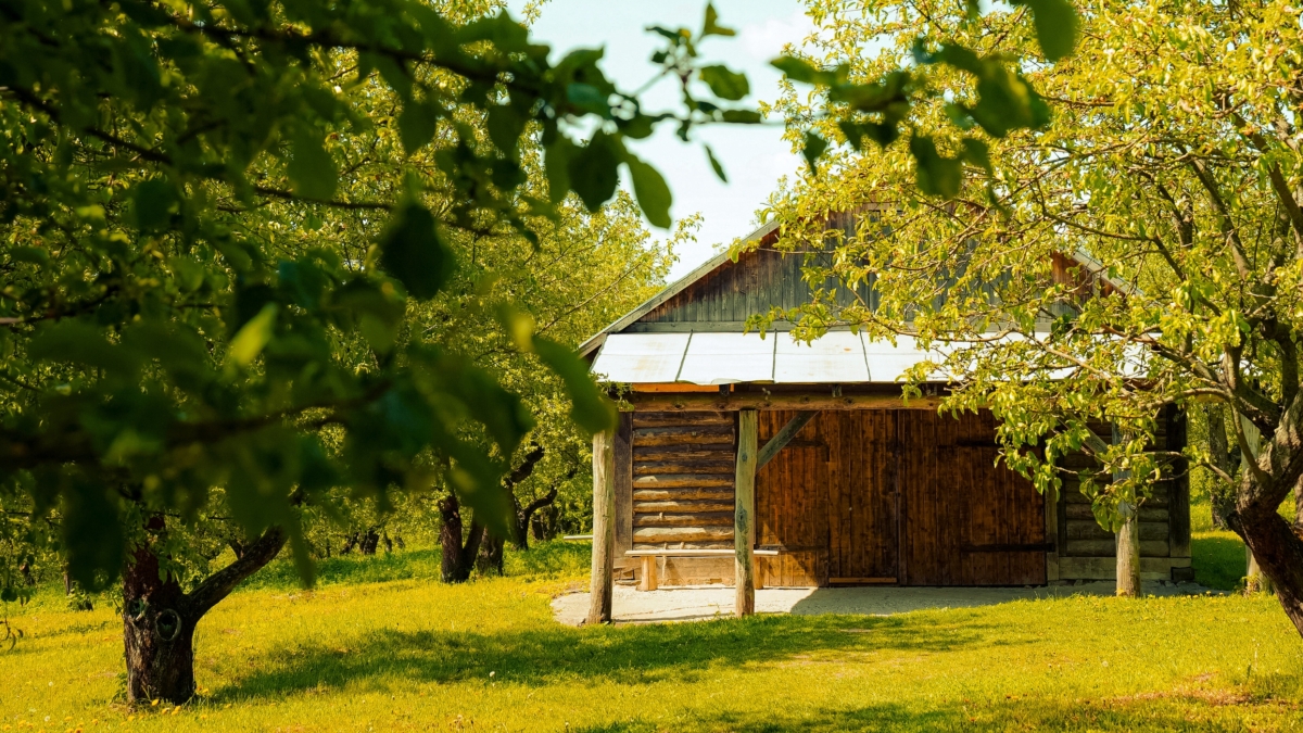 Мусор — в дело: как из отходов получить на даче суперудобрение — шерсть от кошки и не только ИА SM-News