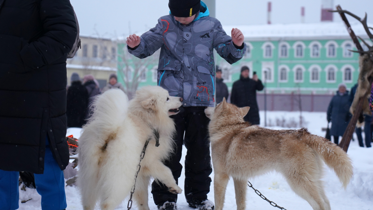Всего 2 капли — и пуховик как новый: простой трюк, который спасёт и куртку от стирки в машинке Светлана Мулыкина