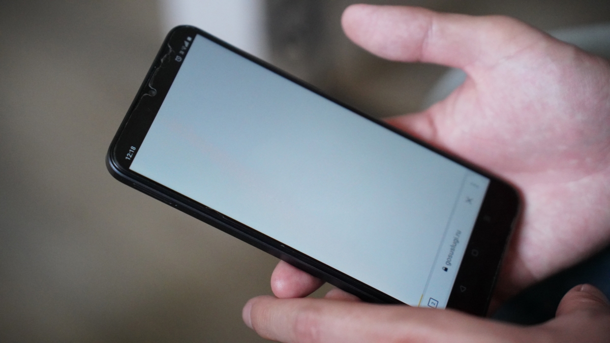 Есаков: Системная оппозиция поддержала протесты против интернет-блокировок в РФ ИА SM-NEWS