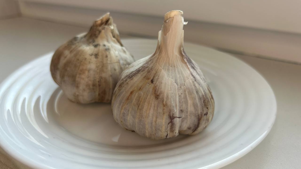 Первая подкормка чеснока и лука весной: сроки, удобрения и правила внесения ИА SM-News