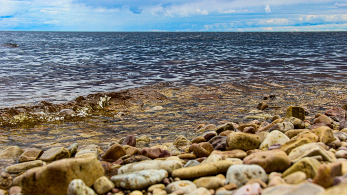 Засуха стала причиной экологического и финансового кризиса в США ИА SM-News