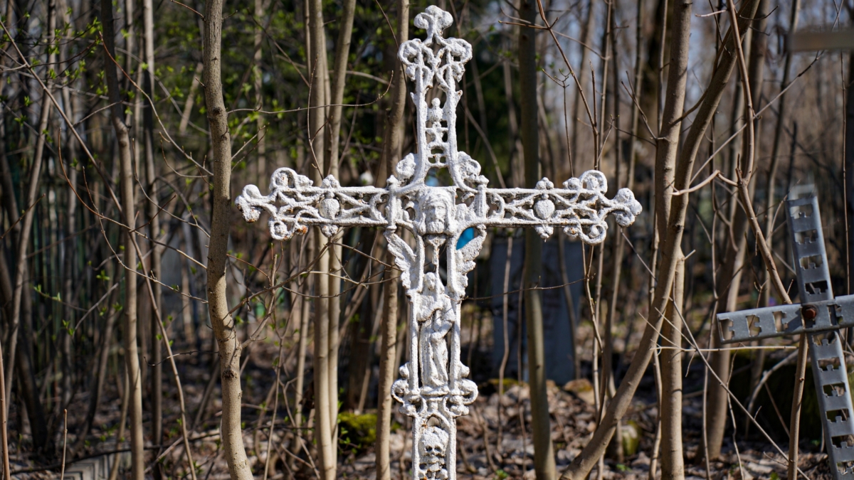 Родительский день 2026: 7 дел, которые обязательно нужно сделать — помимо кладбища Светлана Мулыкина