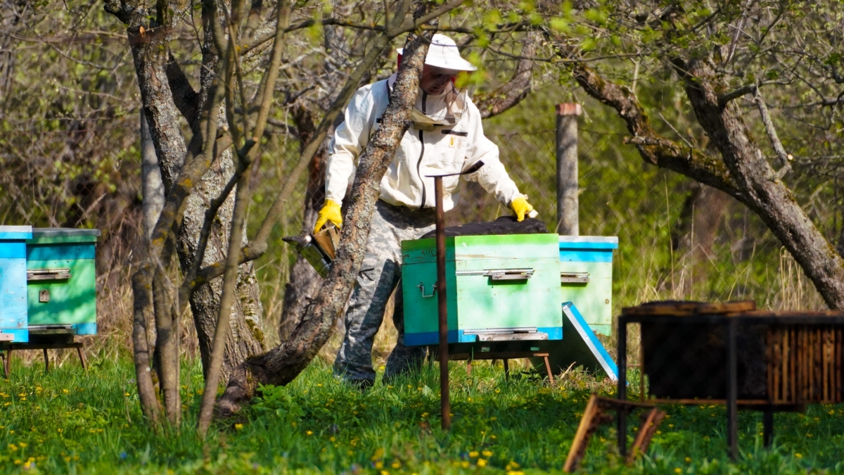 Погода летом и осенью по апрелю: что предсказывают народные приметы — календарь наблюдений по дням Светлана Мулыкина