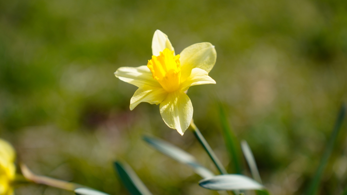 Апрельская погода в Москве и области на неделю перед Пасхой-2026: как одеться — гид по округам ИА SM-News