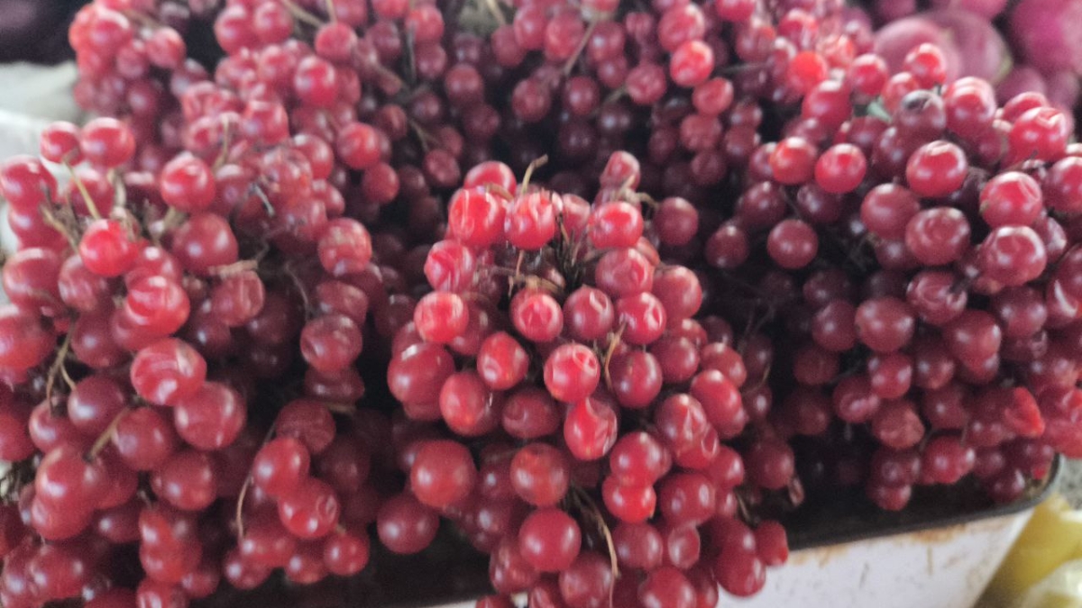 Одна ошибка — и урожая не будет: как спасти смородину весной ИА SM.News