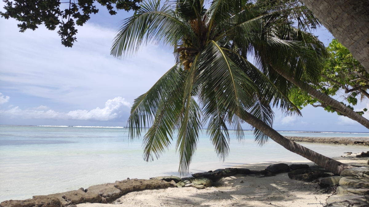 Ожидания не совпали с реальностью: что скрывает популярный курорт Таиланда — честный отзыв туриста ИА SM-News