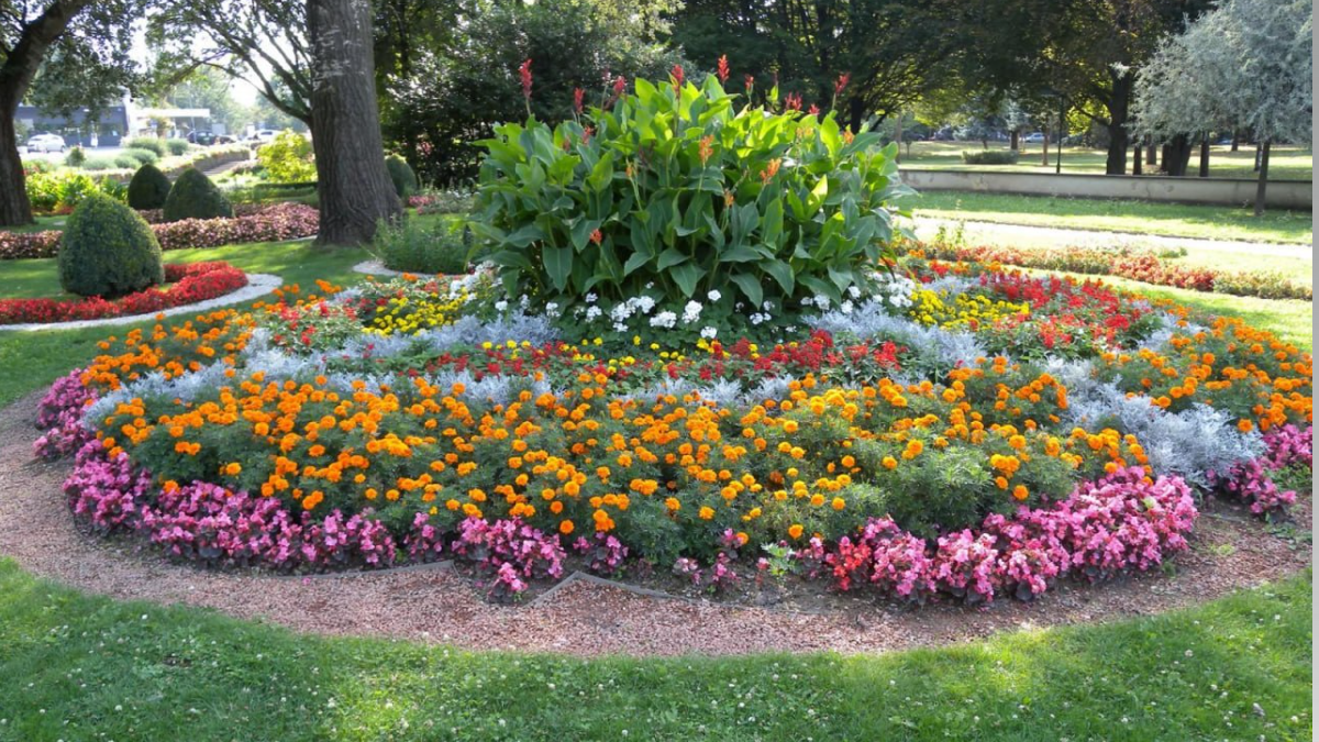 Забудьте о гортензии: этот яркий кустарник цветет без капризов до заморозков ИА SM-News, chatgpt.com