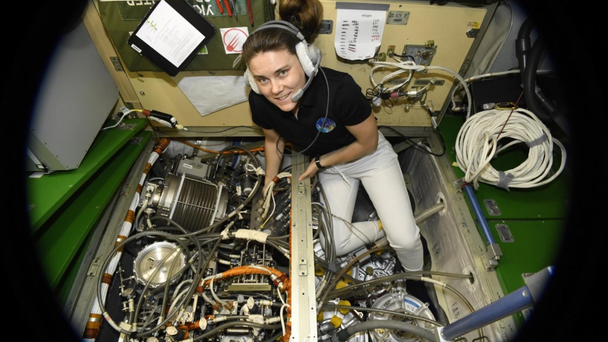 Ученые нашли в нашей галактике звезду из соседней туманности Официальный сайт госкорпорации «Роскосмос» www.roscosmos.ru