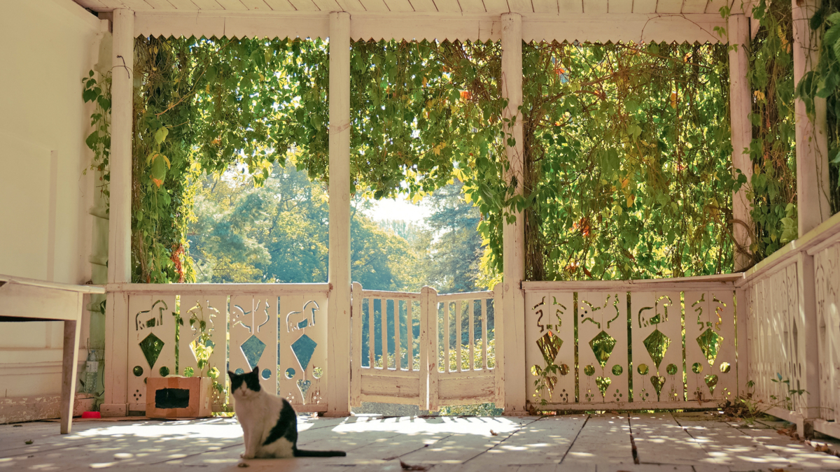 Ваш сад выглядит скучно? Возможно, ему не хватает этой детали — элемент XIX века стал хитом в 2026-м ИА SM-News