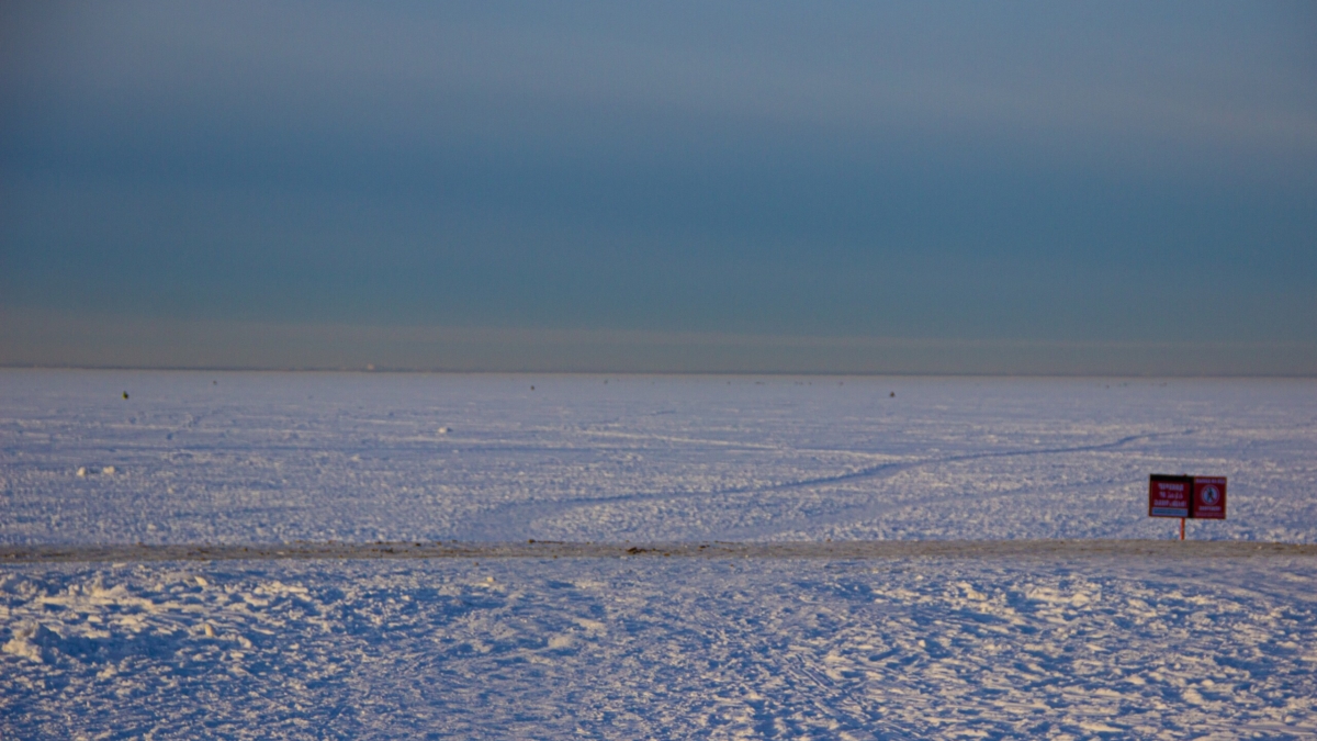 Антарктида — не просто лёд: учёные — о континенте, где время остановилось 35 миллионов лет назад ИА SM-News