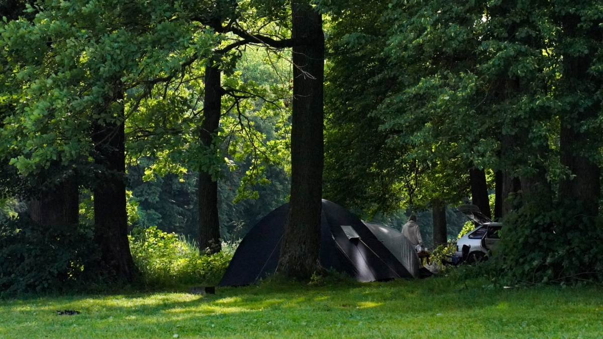Майские без очередей: куда поехать, пока остальные стоят в пробках — направления без толп и переплат Светлана Мулыкина