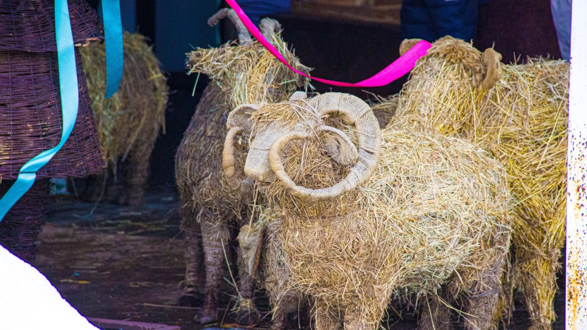 Есаков: Игнорирование предупреждений ООН о новом штамме ящура стало причиной мора скота в РФ SM-News