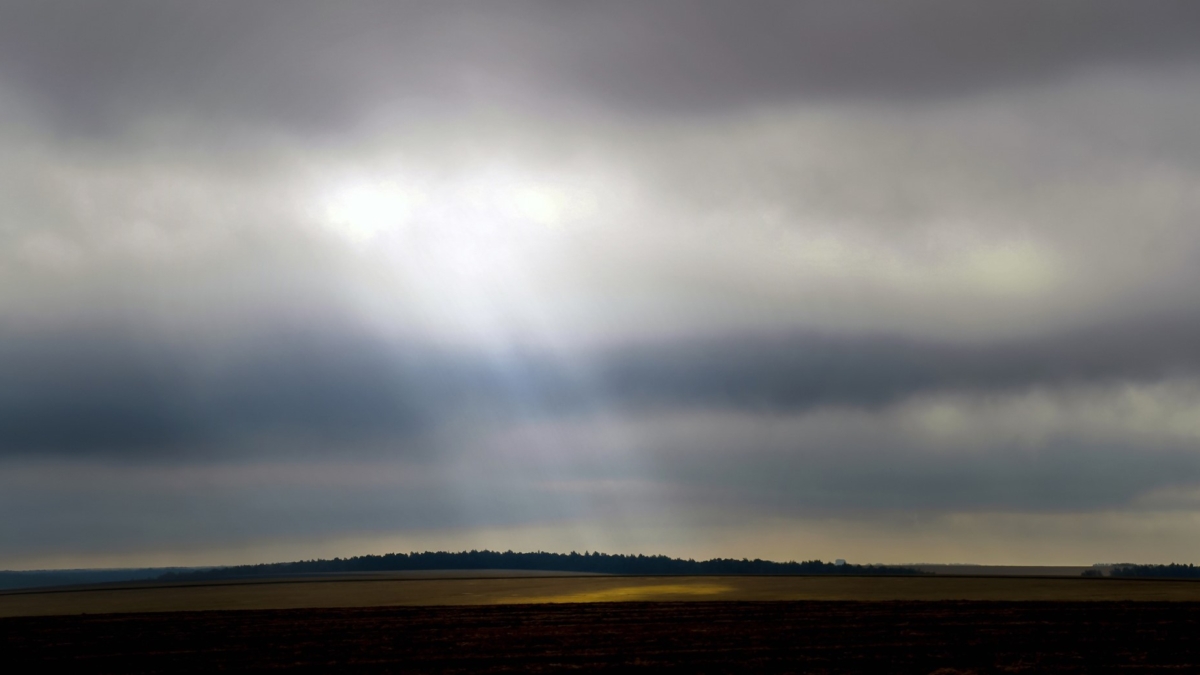 На Оклахому и Джорджию обрушились аномальные штормы Светлана Мулыкина