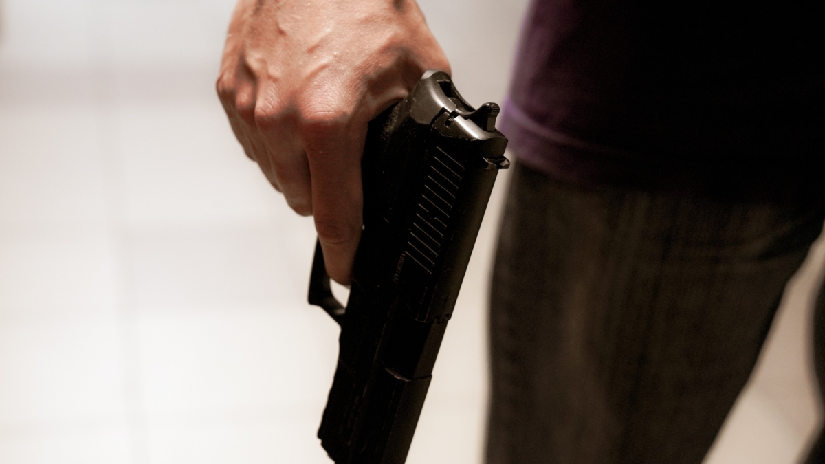 Американист Дробницкий: Общество в США глубоко радикализовано ИА SM-NEWS