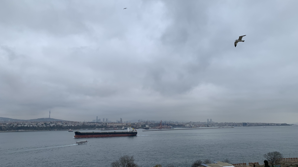 Подоляка: Трамп дестабилизировал международное морское право ИА SM-News