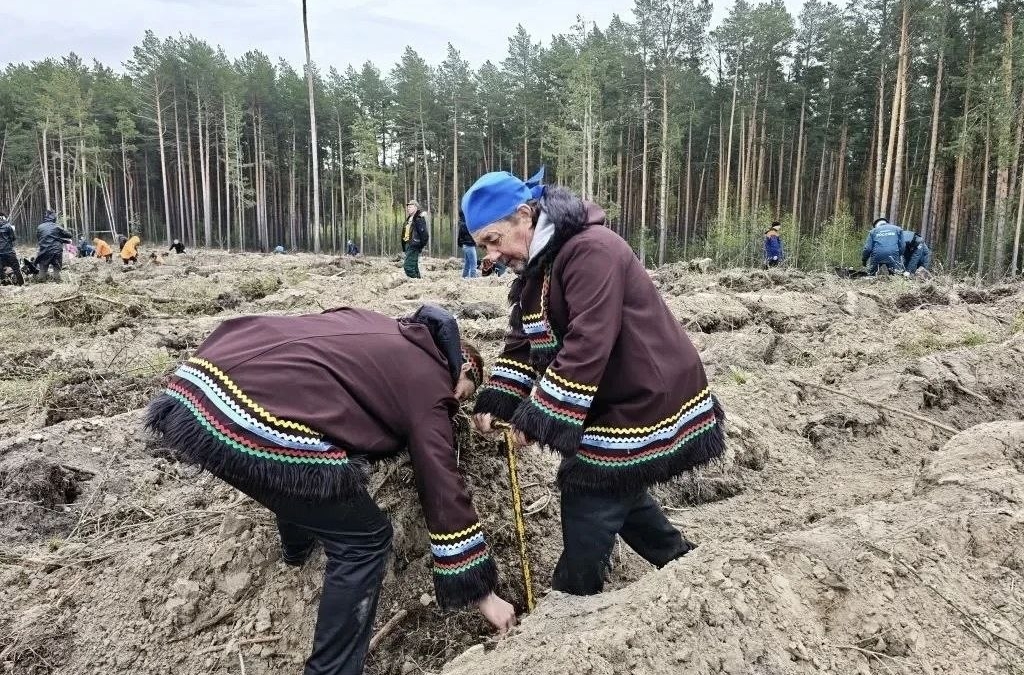Губернатор Владимир Мазур рассказал о прошедшей в Томске акции «Сад памяти»