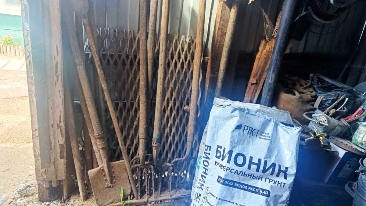 Компост оживёт за осень: что добавить, чтобы органика быстрее перегнивала ИА SM.News